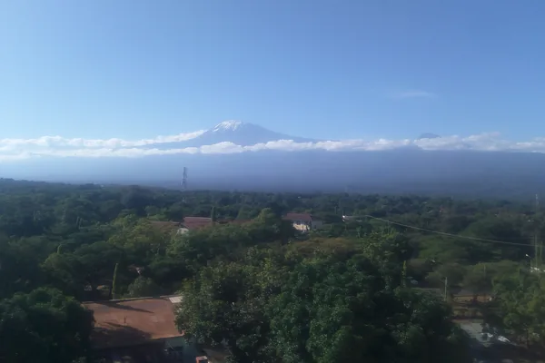 Mount Kilimanjaro seen above the trees of Moshi town.
