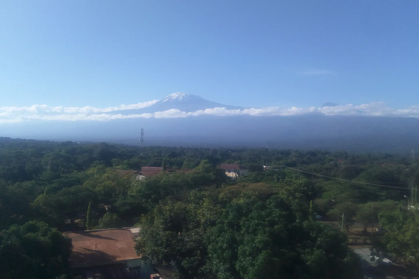 Mlima Kilimanjaro ukionekana juu ya miti ya mji wa Moshi.