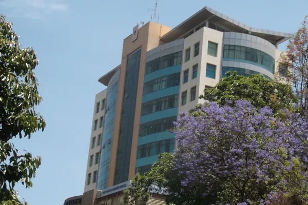 The NSSF office building in Arusha behind trees in purple blossom.