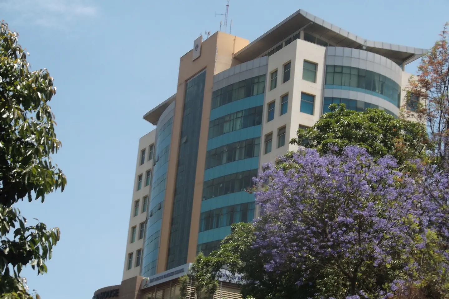 The NSSF office building in Arusha behind trees in purple blossom.